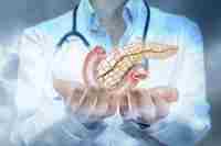 Medical Researchers Pancreas