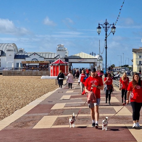 Diabetes Dawdle Seafront Dogs