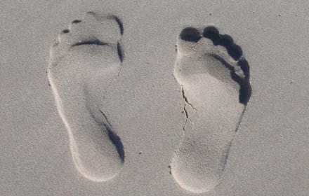 Hand Beach Sea Sand Shoe White