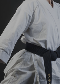 Karate Header Image