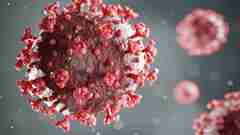 A image of Covid-19 virus 