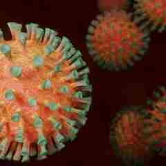 Coronavirusjpg